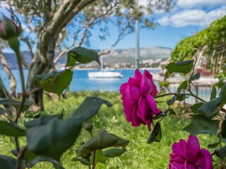 Apartment Okrug Gornji  10