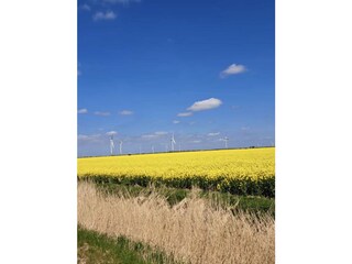 Casa per le vacanze Pewsum Ambiente 10