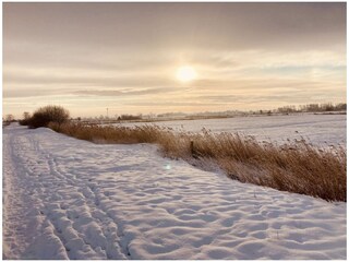 Vakantiehuis Pewsum Omgeving 13