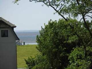 Blick vom Balkon