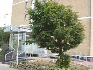 Behindertengerechter Eingang