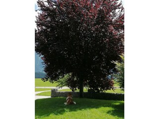 Appartamento per vacanze Mieming Ambiente 26