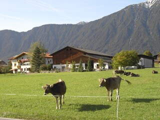 Appartamento per vacanze Mieming Registrazione all'aperto 4