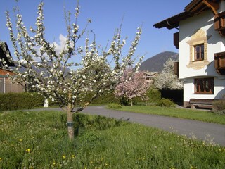 Appartamento per vacanze Mieming Registrazione all'aperto 2