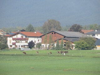 Appartamento per vacanze Mieming Registrazione all'aperto 9