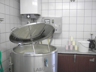 Naturjoghurt hausgemacht