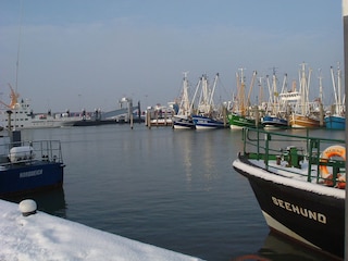 Winteridylle am Fischerhafen