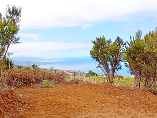 Cottage La Victoria de Acentejo Environment 26