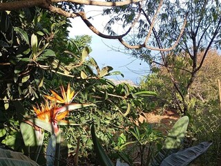 Vakantiehuisje La Victoria de Acentejo Buitenaudio-opname 4