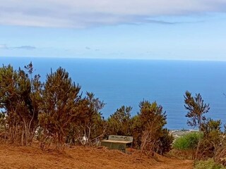 Vakantiehuisje La Victoria de Acentejo Buitenaudio-opname 11