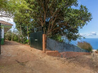 Type de propriété : Chalet La Victoria de Acentejo Environnement 32