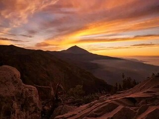 Type de propriété : Chalet La Victoria de Acentejo  41