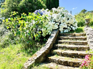 Vakantiehuis Plouzané Buitenaudio-opname 2