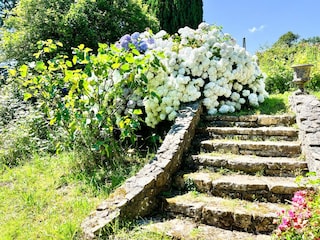 Ferienhaus Plouzané Außenaufnahme 6