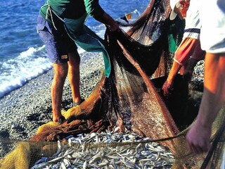 Vakantiepark Pietra Ligure Omgeving 15