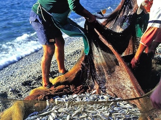 Ferienpark Pietra Ligure Umgebung 8