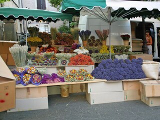 Maison de vacances Puyméras Environnement 20