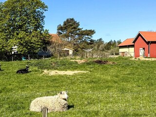 Casa per le vacanze Lysekil Registrazione all'aperto 5