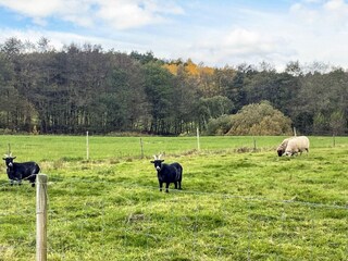 Holiday house Lysekil  27