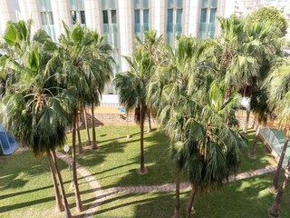 Apartamento Roquetas de Mar Grabación al aire libre 7