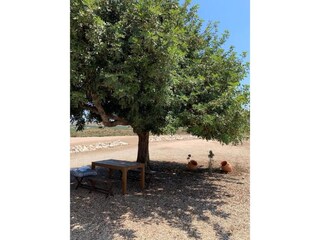 Casa per le vacanze Agua Amarga Ambiente 36