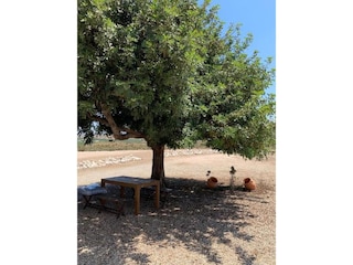 Ferienhaus Agua Amarga Umgebung 36