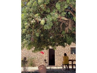 Casa per le vacanze Agua Amarga Ambiente 37