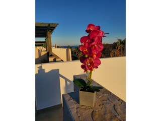 Apartment Vera Playa  41
