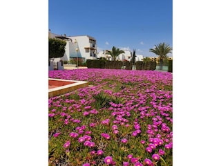 Apartment Vera Playa Außenaufnahme 12