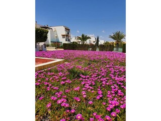 Apartment Vera Playa Außenaufnahme 6