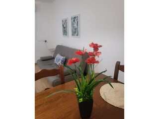 Apartamento Vera Playa Características 26