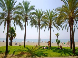 Appartement Málaga Environnement 14