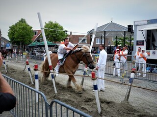 Bungalow Koudekerke Ambiente 21