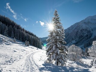 Casa per le vacanze Auffach Ambiente 19