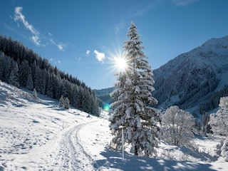 Casa per le vacanze Auffach Ambiente 16
