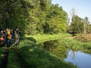 Apartment Meeuwen Environment 13