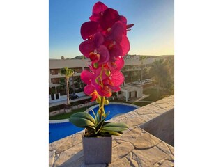 Appartement Vera Playa  46