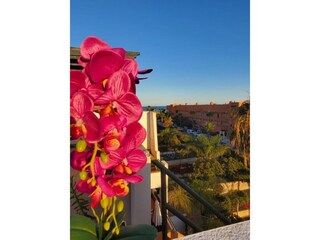 Appartement Vera Playa  47