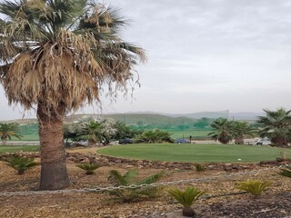 Appartement Vera Playa Environnement 46