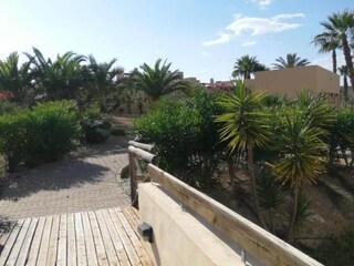 Appartement Vera Playa Omgeving 40