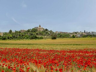 Casa de vacaciones Maria De La Salut Entorno 40