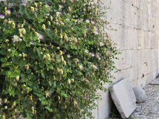 Maison de vacances Pakostane  44