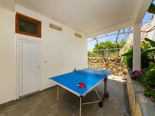 Ferienhaus Rogotin  102