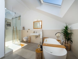 Holiday house Svirce  14