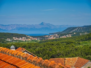 Holiday house Svirce  16