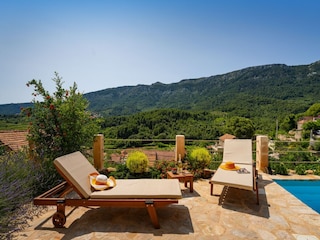 Holiday house Svirce  42