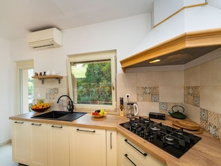 Holiday house Svirce  45