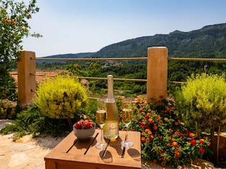 Holiday house Svirce  62