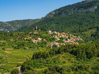 Holiday house Svirce  65