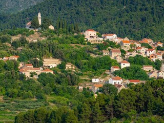 Holiday house Svirce  94